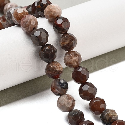 Natural Petrified Wood Beads Strands G-C150-B01-01-1