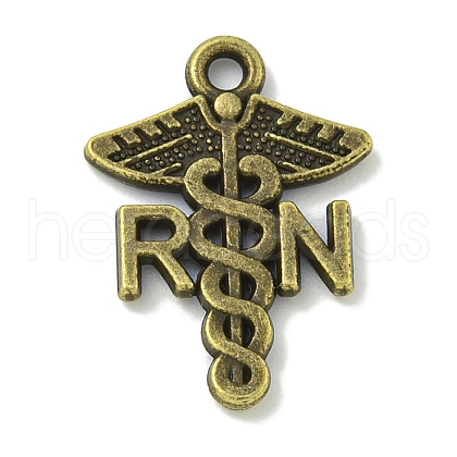 Tibetan Style Alloy Pendants TIBE-I026-5976AB-1