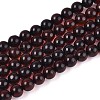 Natural Amber Beads Strands G-K387-D01-02-1