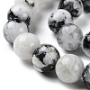 Natural Rainbow Moonstone Beads Strands G-Q1001-A05-04-4
