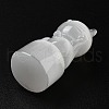 Natural Selenite Ornaments Figurine DJEW-B010-02-4