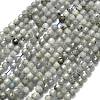 Natural Labradorite Beads Strands G-A260-A44-01B-2