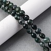 Natural Moss Agate Beads Strands G-C179-A21-03-1
