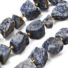 Raw Rough Natural Blue Spot Jasper Beads Strands G-Z087-B01-2