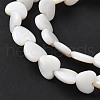 Natural Freshwater Shell Beads Strands SSHEL-C013-05-3