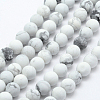 Natural Howlite Beads Strands G-F518-22-6mm-1