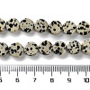 Natural Dalmatian Jasper Beads Strands G-B138-B02-01-5