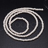 Faceted Rondelle Glass Beads Strands X-GLAA-M028-2mm-B02-3