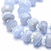 Natural Blue Lace Agate Beads Strands G-F715-033B-3