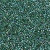 MIYUKI Delica Beads SEED-J020-DB0060-1