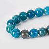 Olycraft Natural Apatite Beads Strands G-OC0002-60A-3