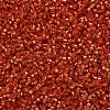 MIYUKI Delica Beads SEED-J020-DB2158-3