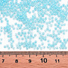 12/0 Imitation Jade Glass Seed Beads SEED-S049-A-008-4