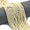 Natural Fossil Beads Strands G-A260-A35-01-1