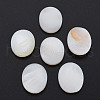 Natural Freshwater Shell Cabochons SHEL-S278-048B-1