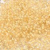12/0 Transparent Glass Seed Beads X-SEED-F003-03C-14-3