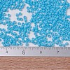 MIYUKI Delica Beads X-SEED-J020-DB0755-4