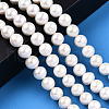 Natural Keshi Pearl Beads Strands PEAR-S020-L13-6