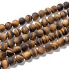 Natural Frosted Tiger Eye Round Bead Strands G-M064-10mm-02-1