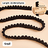   Polyester Lace Trim SRIB-PH0001-25A-2