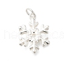 925 Sterling Silver Pendants STER-Q003-01F-S-1