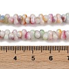 Handmade Lampwork Beads Strands LAMP-S070-12U-4