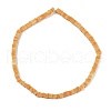 Handmade Lampwork Beads Strands LAMP-Q037-02B-20-2