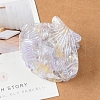 Shell Shape Cellulose Acetate(Resin) Claw Hair Clips PW-WG57057-03-1