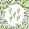 Luminous & Two Tone Resin Decoden Cabochons RESI-Z032-02D-2