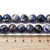 Natural Sodalite Beads Strands G-R015-B01-10mm-5