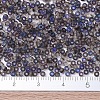 MIYUKI Round Rocailles Beads X-SEED-G007-RR4556-3