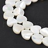 Natural White Shell Beads Strands SSHEL-C013-06-3