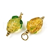 304 Stainless Steel with Handmade Lampwork Pendants STAS-Q352-02G-B-2