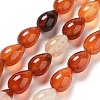 Natural Red Agate Beads Strands G-B106-A22-02-2