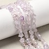Natural Amethyst Beads Strands G-Z080-A24-8mm-1