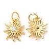 Brass with Cubic Zirconia Pendants KK-K332-18G-1