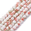 Pearlized Handmade Lampwork Beads Strands LAMP-R020-04B-1