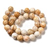 Natural Crazy Lace Agate Beads Strands G-H298-A12-05-3