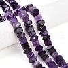 Natural Amethyst Beads Strands G-N347-09A-06-1