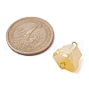 Electroplated Natural Quartz Beads Connector Charms PALLOY-JF02457-01-3