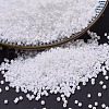 MIYUKI Delica Beads SEED-X0054-DB0200-1