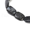 Natural Larvikite Beads Strands G-U018-H08-01-3