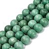Natural Howlite Beads Strands G-C180-16F-1