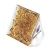 Orgonite Pyramid Resin Energy Generators DJEW-D013-05C-3