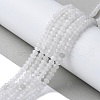 Natural Malaysia Jade Rondelle Beads Strands X-G-E316-2x4mm-63-2