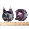 Natural Fluorite Carved Cat Shape Figurines Statues for Home Desktop Decoration DJEW-A016-03-3
