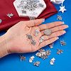 120Pcs 2 Styles Tibetan Style Zinc Alloy Flag Pendants FIND-PJ0001-06-5
