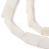Natural Freshwater Shell Beads Strands BSHE-H018-03-3