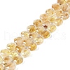 Natural Citrine Beads Strands G-N342-10-1