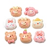Opaque Resin Decoden Cabochons RESI-F052-B08-1